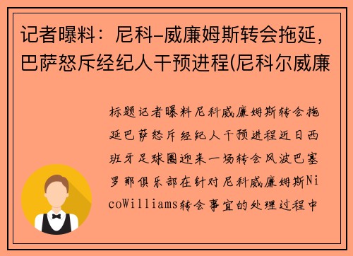 记者曝料：尼科-威廉姆斯转会拖延，巴萨怒斥经纪人干预进程(尼科尔威廉姆斯)